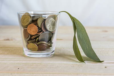 Money Plant